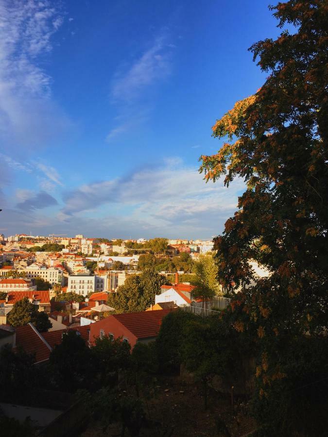 Charm Discovery Principe 7 Lisboa المظهر الخارجي الصورة